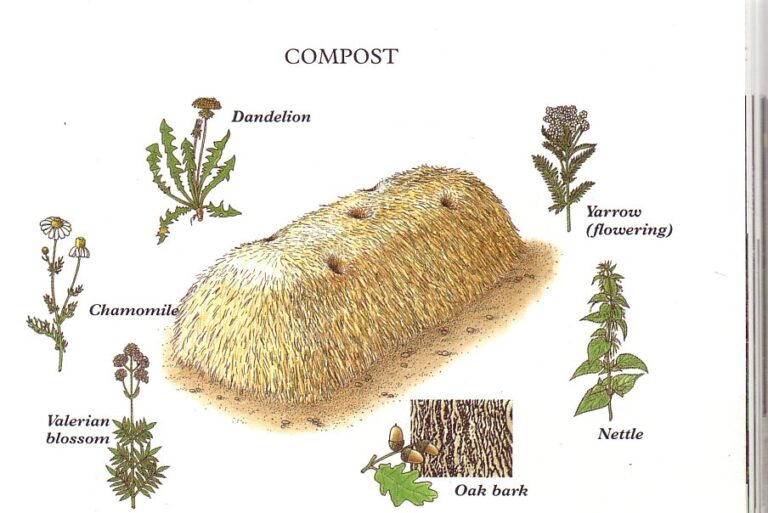 How to make biodynamic compost ⋆ Biodynamic Agriculture Australia Ltd