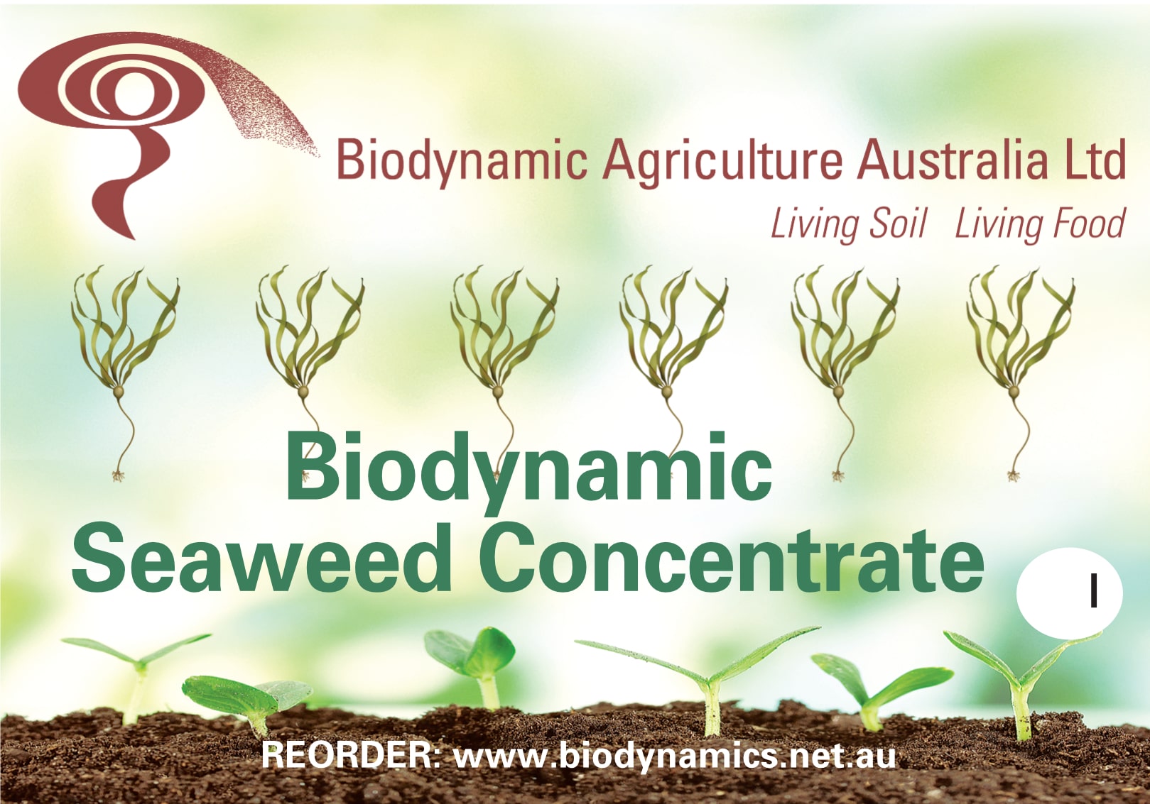 Biodynamic Seaweed Concentrate