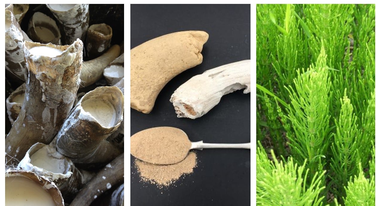 Biodynamic Liquid Atmospheric Activator