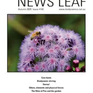 News Leaf Journal