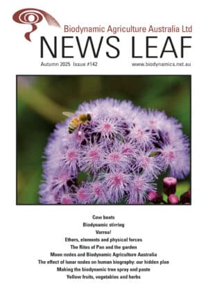 News Leaf Journal
