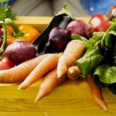 Biodynamic Home Garden Kit - for your urban environment